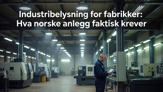 Professional header image for industry analysis: Industribelysning for fabrikker: Hva norske anlegg faktis...