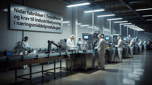 Professional header image for industry analysis: Nidar fabrikker i Trondheim og krav til industribelysning...