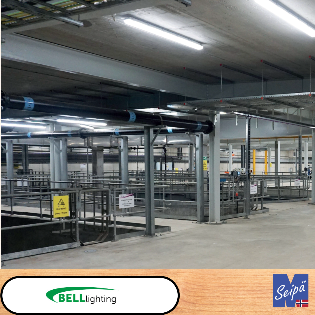 BELL DURA MULTI IP66 LED Polykarbonat /830/840/860 CRI85 alt med multilumen Som tilvalg sensor & nødlys